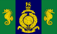 Logistic Regiment Royal Marines Flags